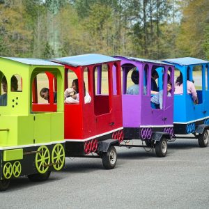 Trackless Train Ride